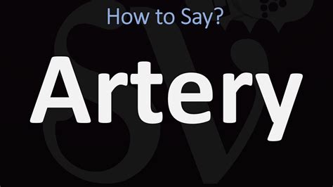 how to pronounce artery